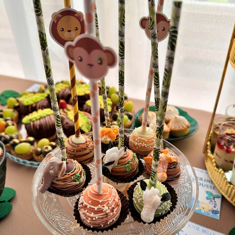 Candy Bar Jungle Safari - imagine 2